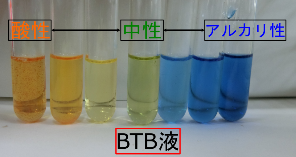 指示薬を使って酸・アルカリ性を調べよう！【pH】 | 理科の授業を