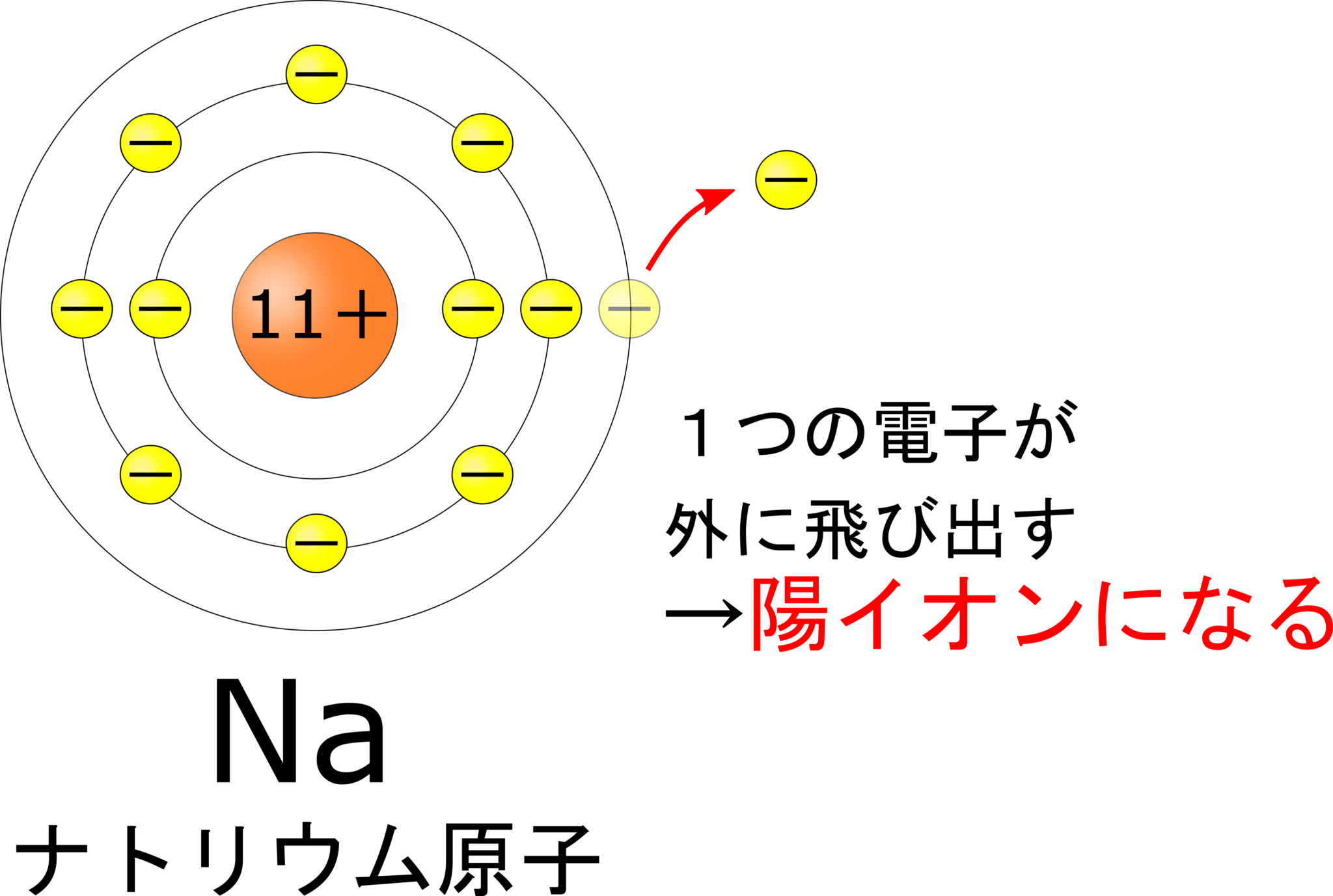 【中学3年】原子の構造を理解すればイオンが完璧に理解できる！【原子とイオンの関係とは！？】 理科の授業をふりかえる