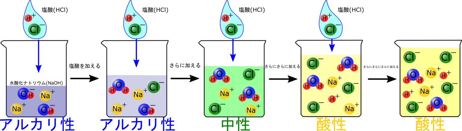 【3分でわかる】中和滴定のイオン数の変化をグラフにしよう！【中3化学】 | 理科の授業をふりかえる