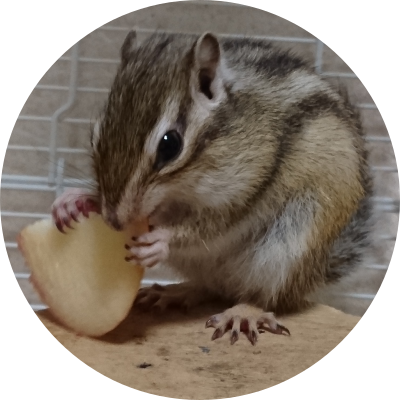 酸素の性質 発生方法 集め方まとめ 中学化学 理科の授業をふりかえる