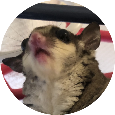 酸素の性質 発生方法 集め方まとめ 中学化学 理科の授業をふりかえる