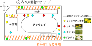 スケッチの書き方をマスターしてたんぽぽの観察をしよう 中１生物 理科の授業をふりかえる