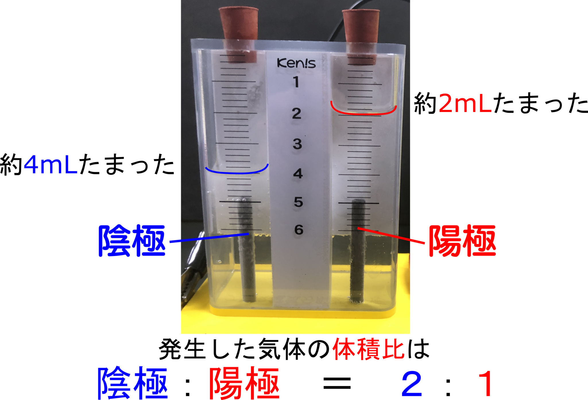 水の電気分解をして2つの気体を調べよう!【実験動画】 理科の授業をふりかえる 水の電気分解をして2つの気体を調べよう!【実験動画】 理科の授業をふりかえる