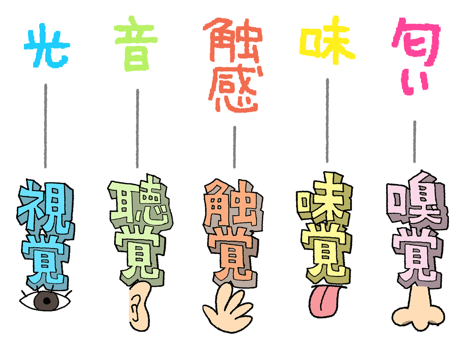 【五感とは】目のつくり＆耳のつくりを解説【中学理科】 | 理科の授業をふりかえる